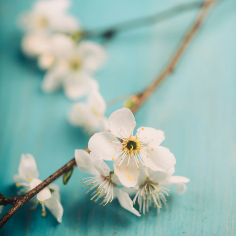 How to Simplify Your Business