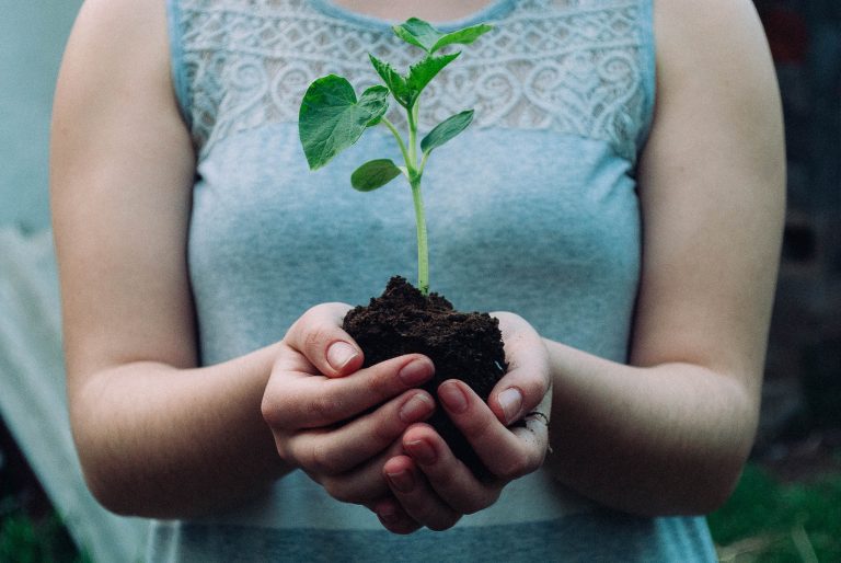 Conscious Business – What It Is and Why It Matters