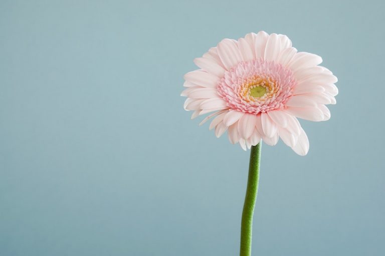 How to Know If You’ve Stopped Being Authentic in Your Business