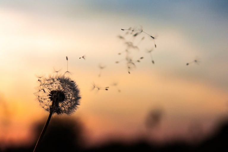 Why Freedom is Overrated