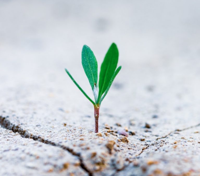An Essential Mindset Shift For Entrepreneurs